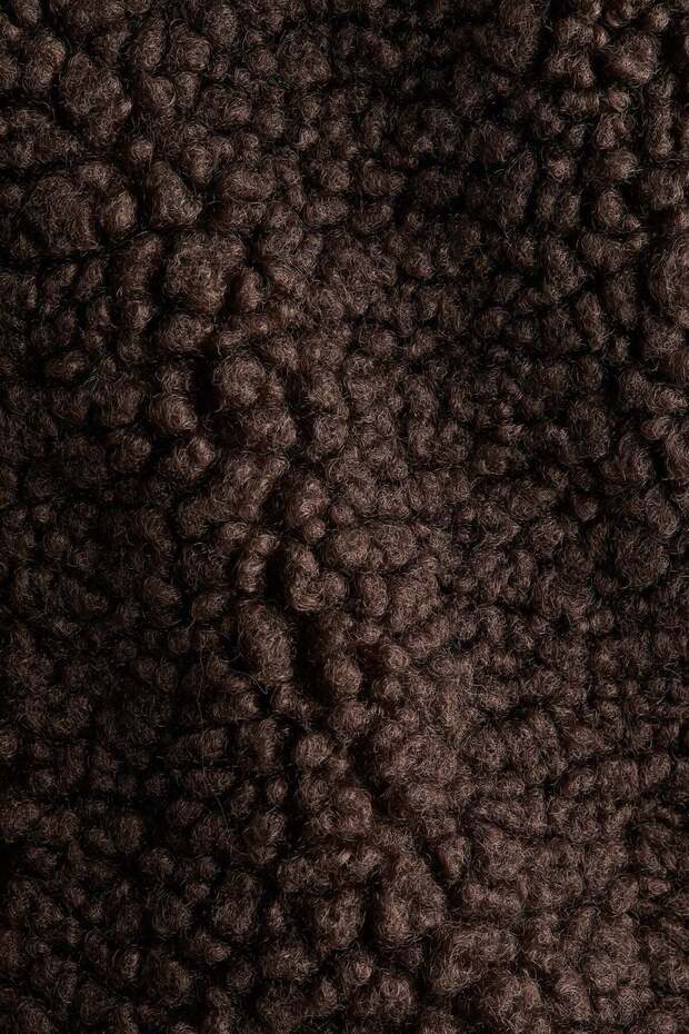 سترة تيدي