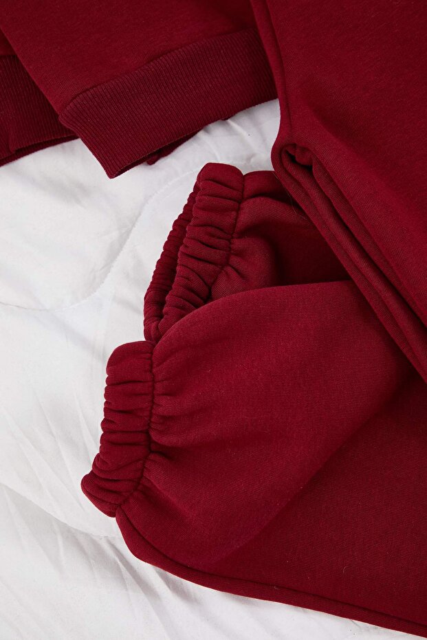 Burgundy Minimal Print Detailed Inside Fleece Large Size Tracksuit Set Tbbaw26Ts00015 - 2
