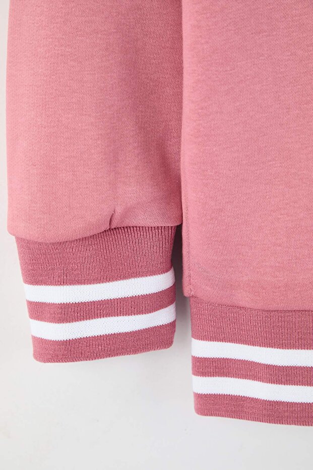 Pembe Regular/Normal Kesim Triko Bantlı Nakışlı Sweatshirt TMNAW26SW00066 - 3