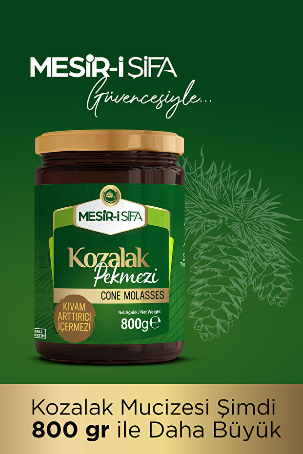 Kozalak Pekmezi 800g - 2