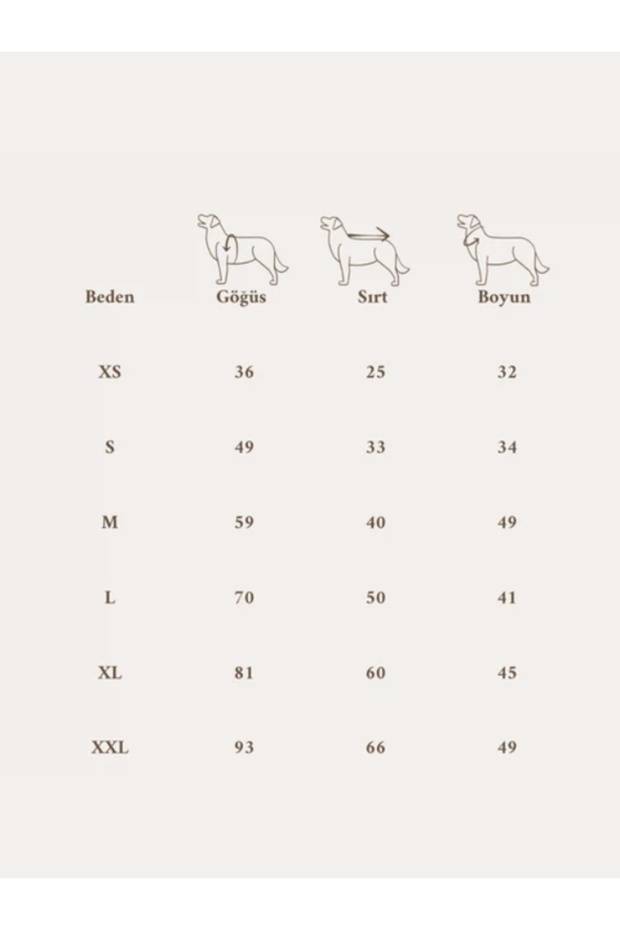 Bomber Jacket | Berry Burst - 2