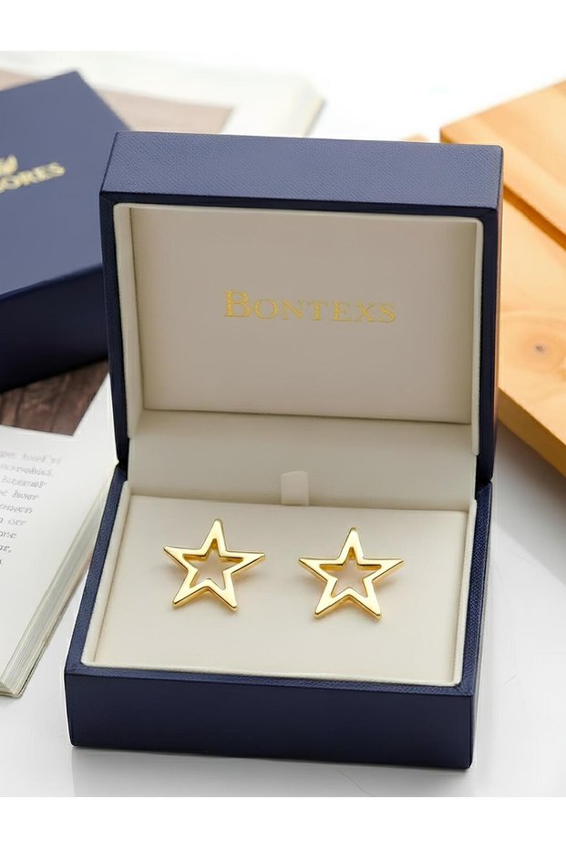 Women's Gold Color Star Steel Earrings