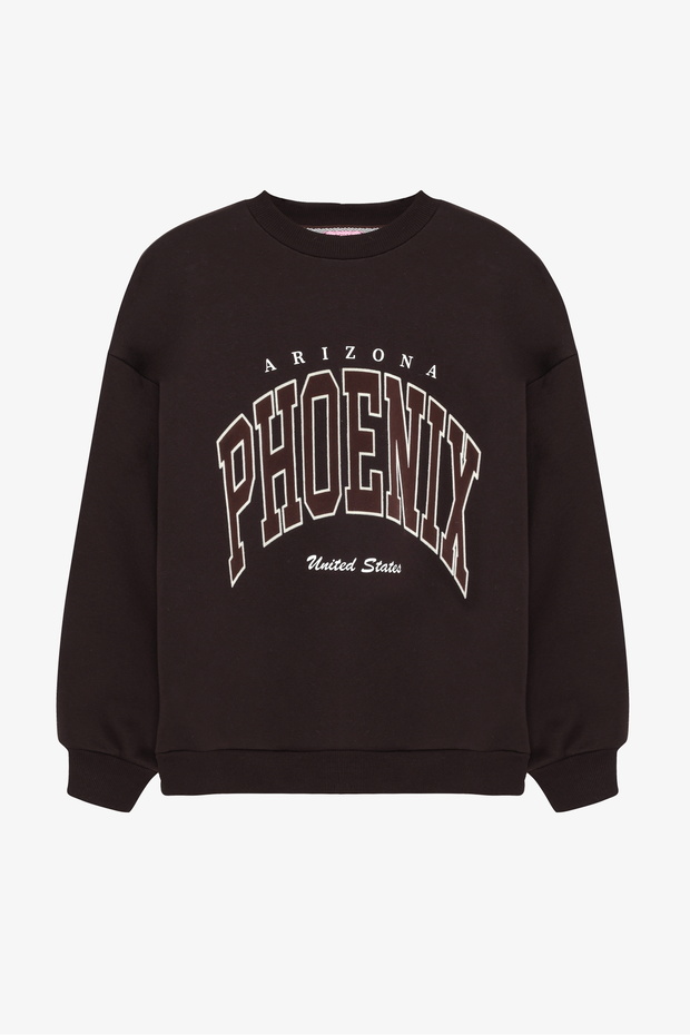 Arizona Printed Oversized Sweatshirt Brown