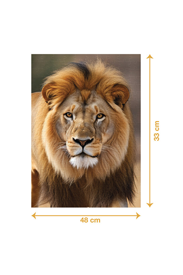 ASLAN PUZZLE 200 PARÇA - 2
