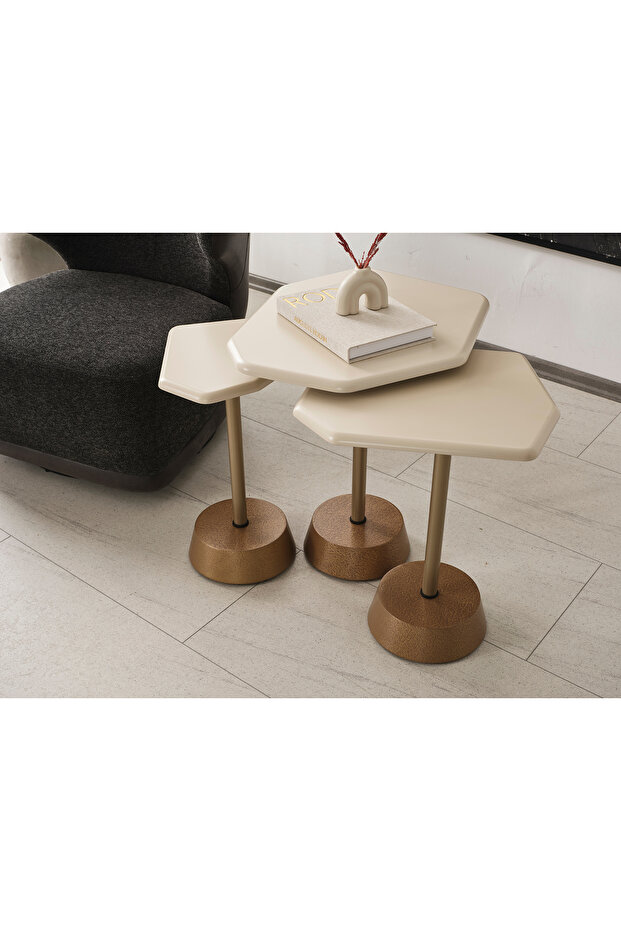 ODER DEMONTE ZİGON SEHPA - 2