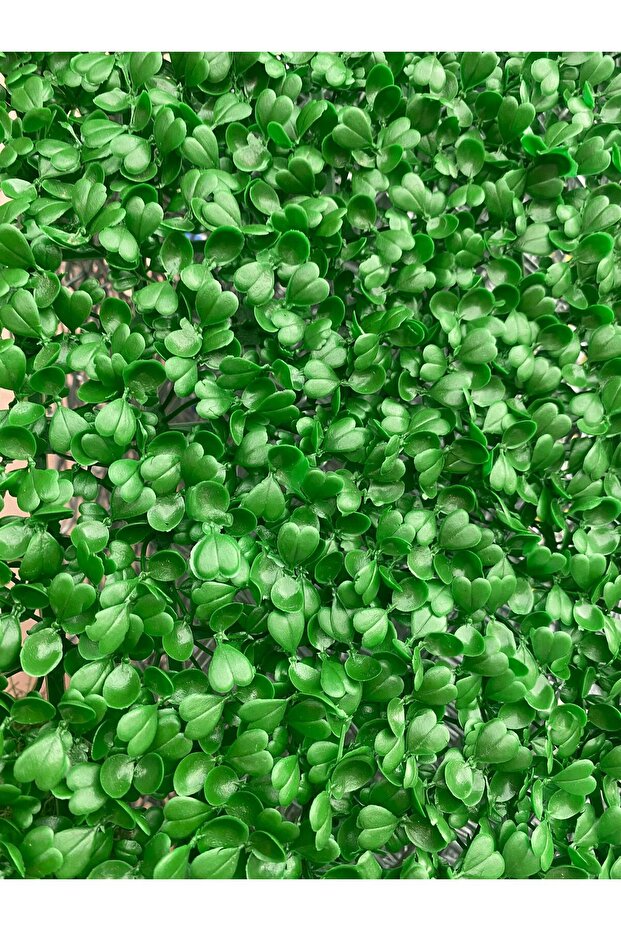 Yapay Şimşir Duvar Paneli - 5