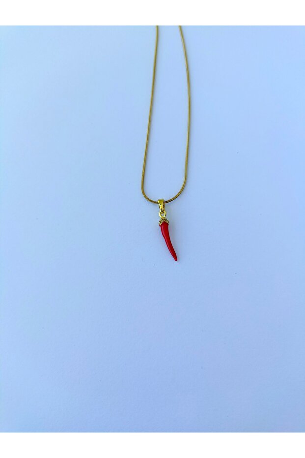 Paslanmaz Çelik Şans Kolyesi - 3