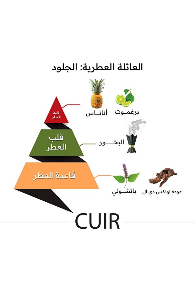 عطر كوير - 150 مل - 4