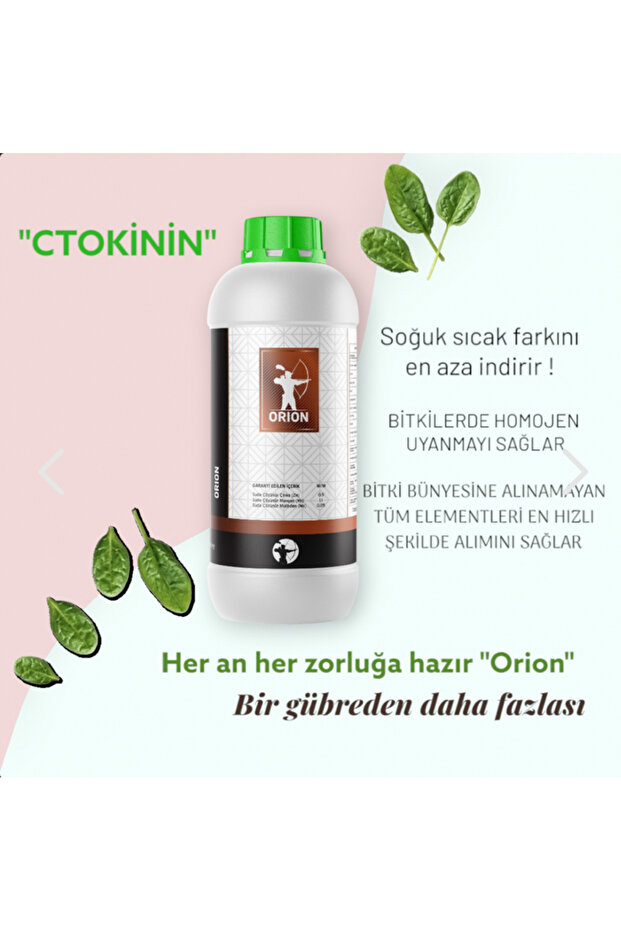 Sitokinin hormon - 1