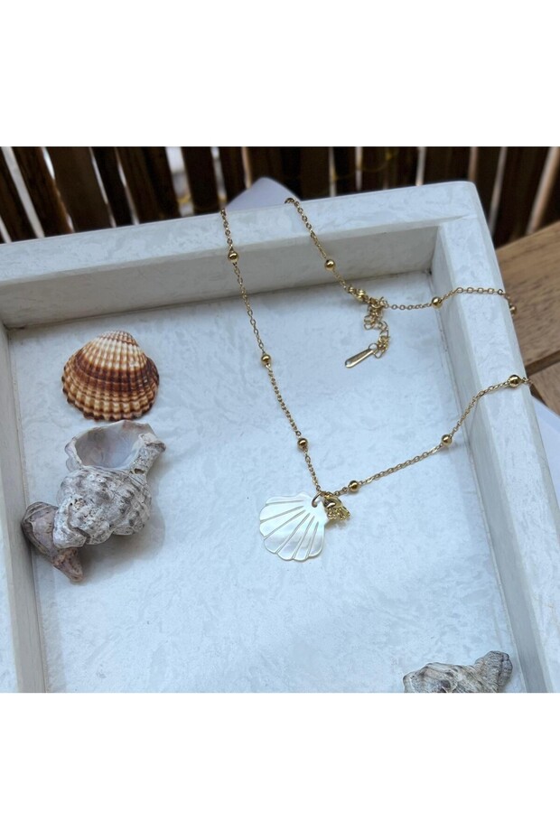 Steel Sea Shell Figured Necklace