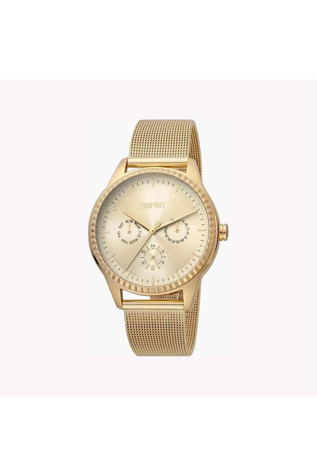 Women's Gold Stainless Steel Watch, Champagne Dial | Es1l143m0035