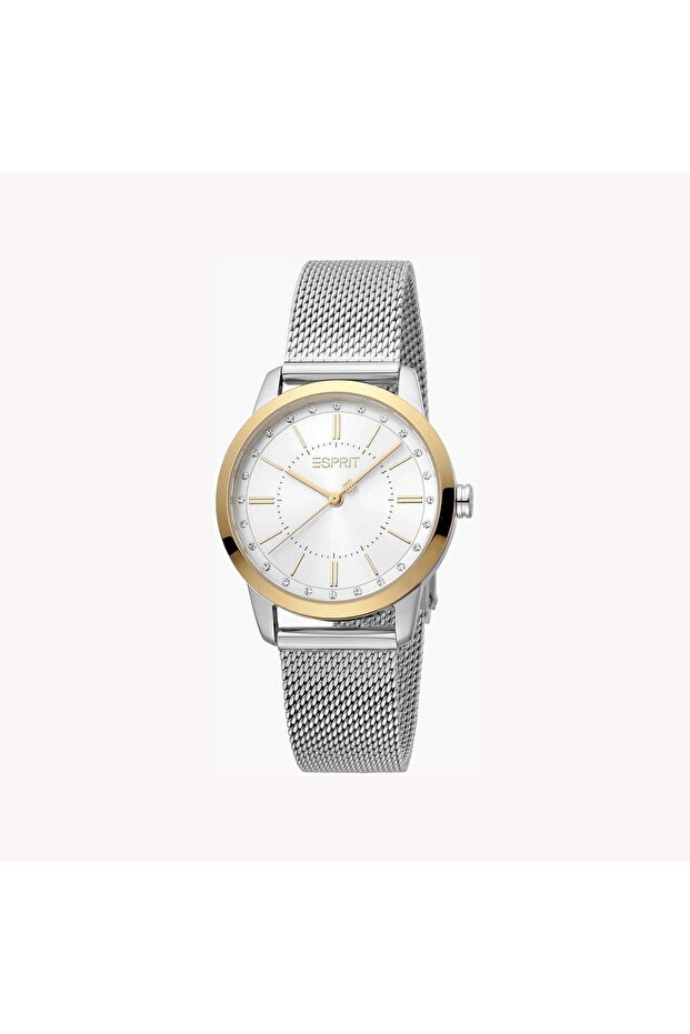 Women's Silver Stainless Steel Watch, Silver Dial | Es1l186m0075