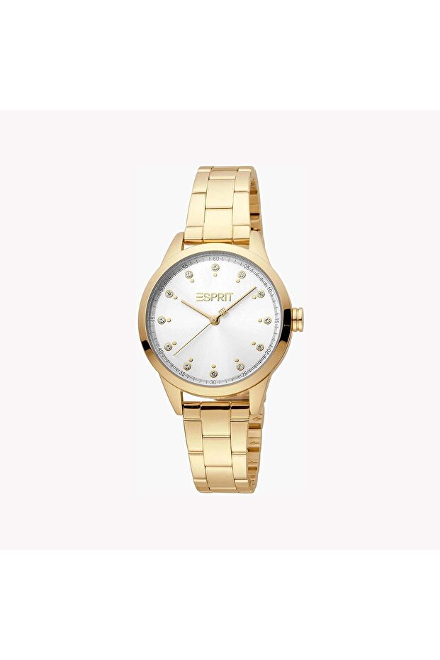 Women's Gold Stainless Steel Watch, Silver Dial | Es1l006m0035