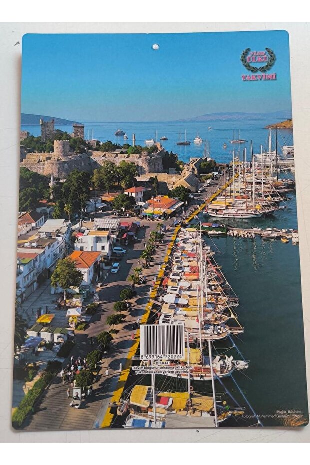 Ülkü Duvar Takvimi 2026 - 4