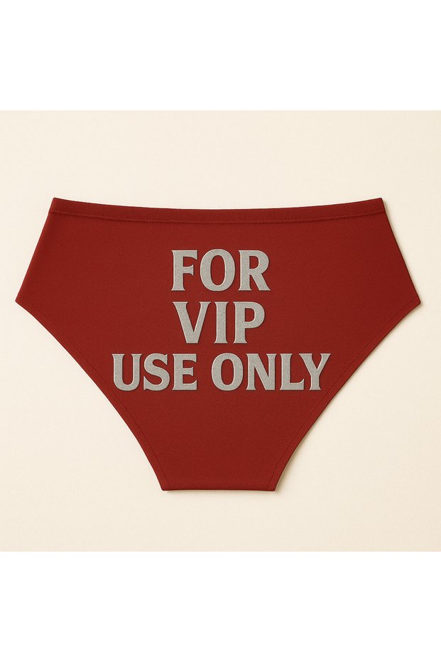 Red Christmas Themed Women's Slip Panties, Metallic Lettering Printed , Fun Underwear