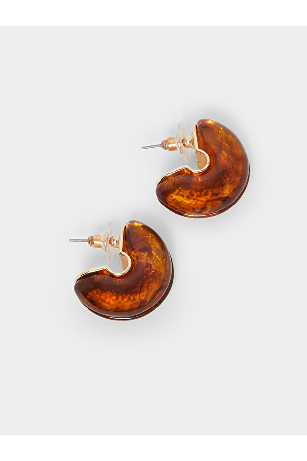 أقراط السلحفاة - 3