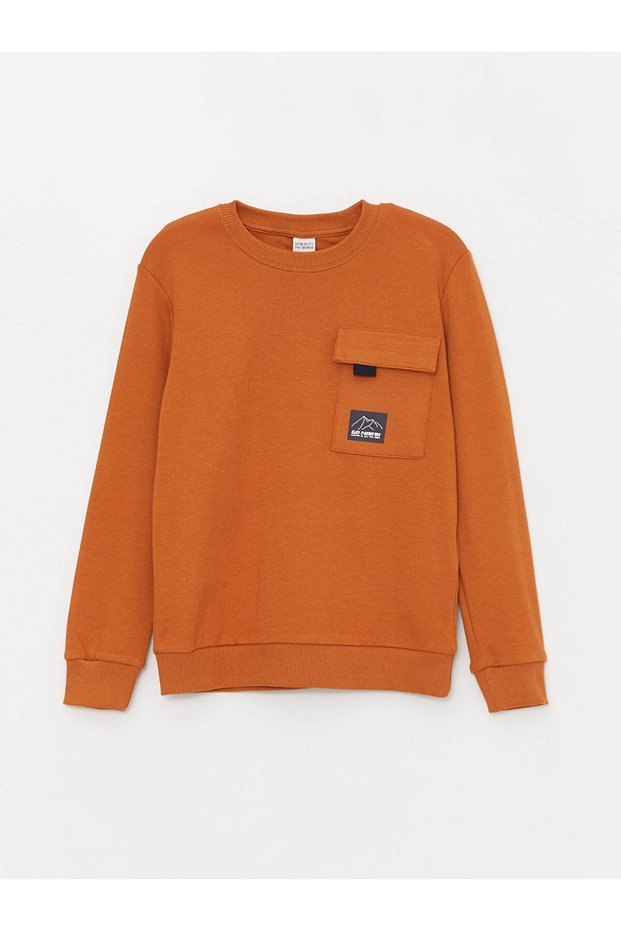 Lcw Kids Brown Crew Neck Long Sleeve Boys T-Shirt