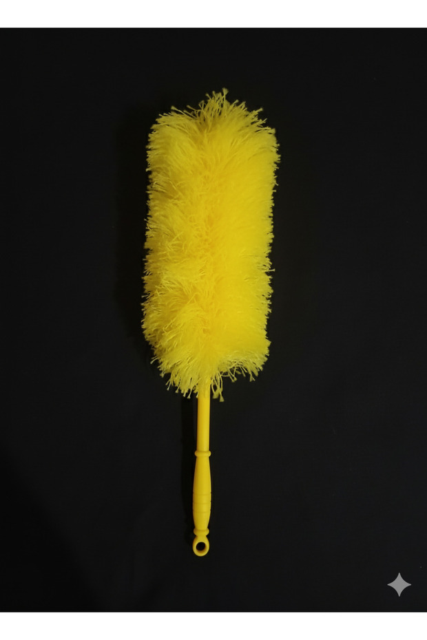 Dust Removal Brush - 1