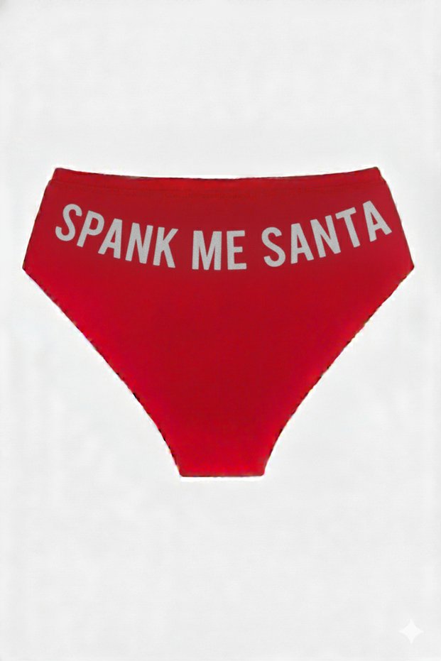 Red Christmas Themed Women's Slip Panties, Metallic Lettering Printed , Fun Underwear