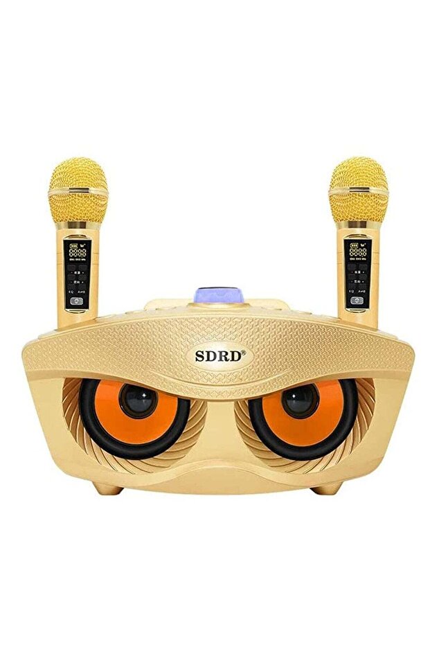 Wireless Bluetooth Speaker With 2-Piece Mic Rechargeable Portable Speaker SD-306