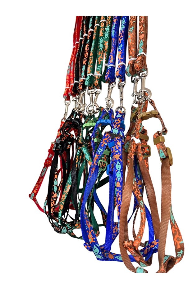 طقم طوق للقطط الحمراء والكلاب الصغيرة منقوشة - مع حزام قابل للتعديل للتنزه - 2