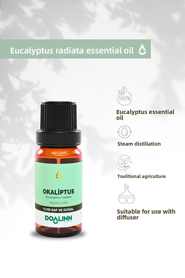 زيت الأوكالبتوس (رادييتا) العطري 10 مل.