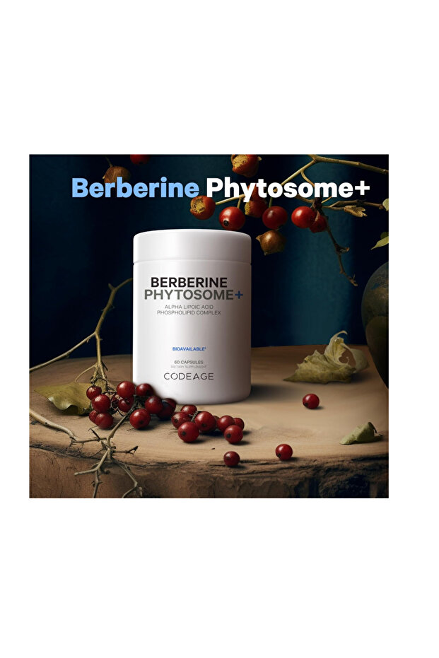 Berberine Phytosome Supplement - Berberine HCL, Alpha Lipoic Acid, Phospholipid Complex 60 Capsules - 3