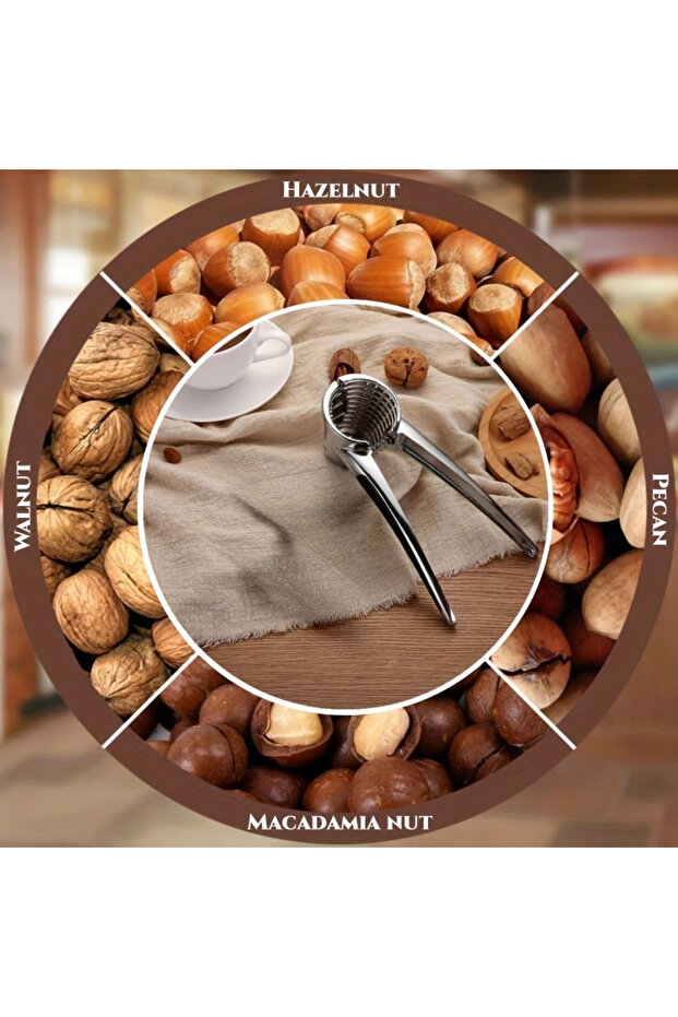 Paslanmaz Çelik Ceviz Kıracağı - 6