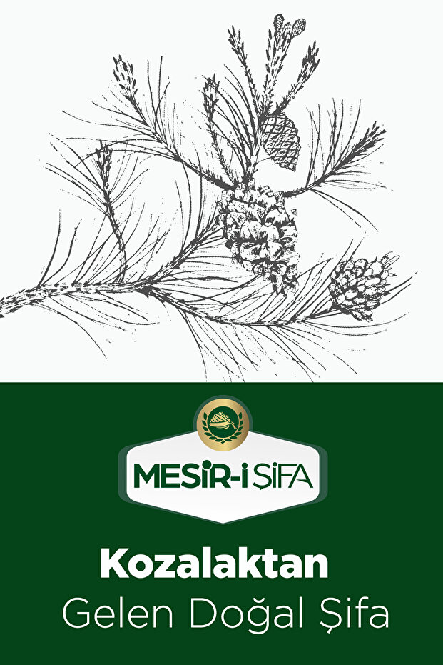 Kozalak Pekmezi 800g - 5