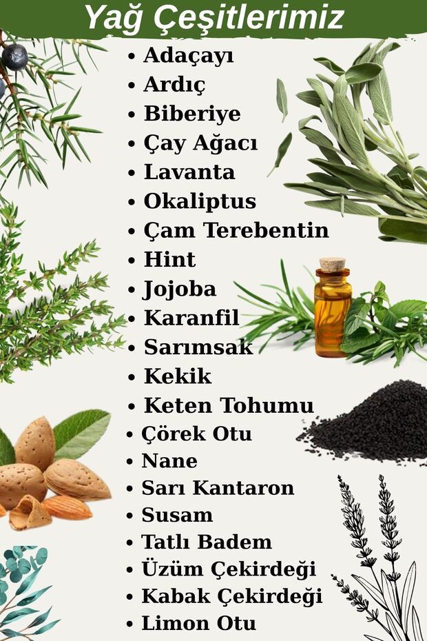 Sarı Kantaron Yağı 20 ml - 3