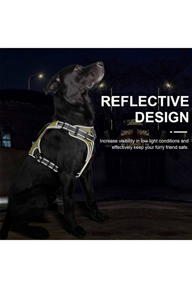 حزام الكلب – أصفر ( صغير ) - 4