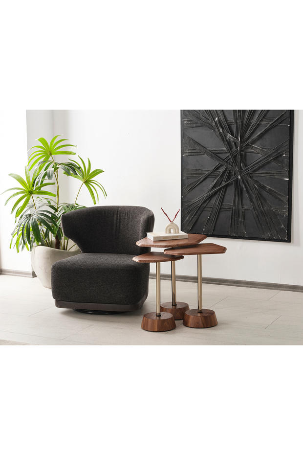 ODER DEMONTE ZİGON SEHPA - 1