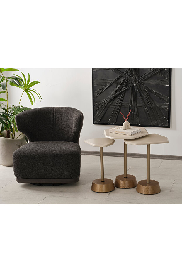 ODER DEMONTE ZİGON SEHPA - 1