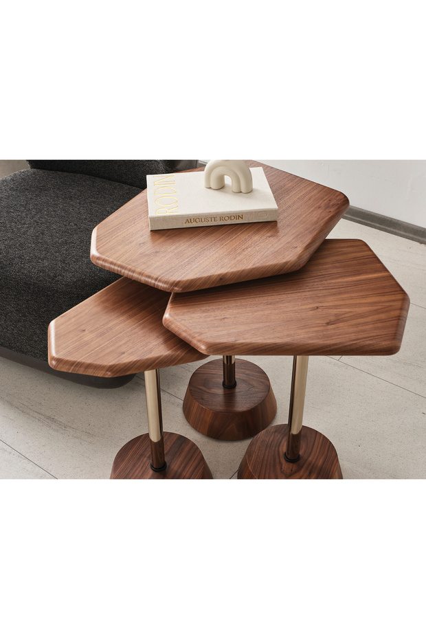 ODER DEMONTE ZİGON SEHPA - 2