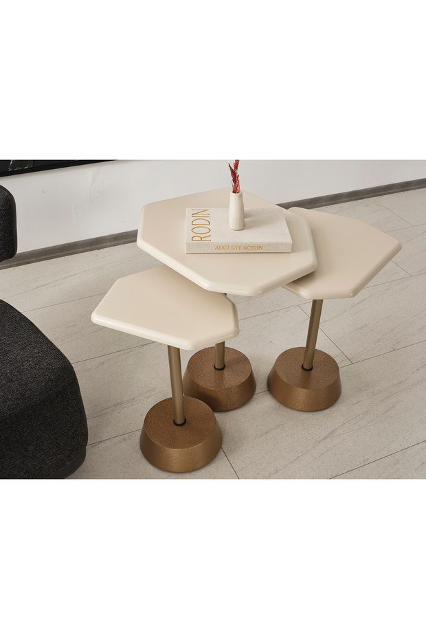 ODER DEMONTE ZİGON SEHPA - 3