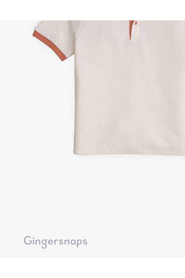 Solid Short-Sleeve T-Shirt - 4