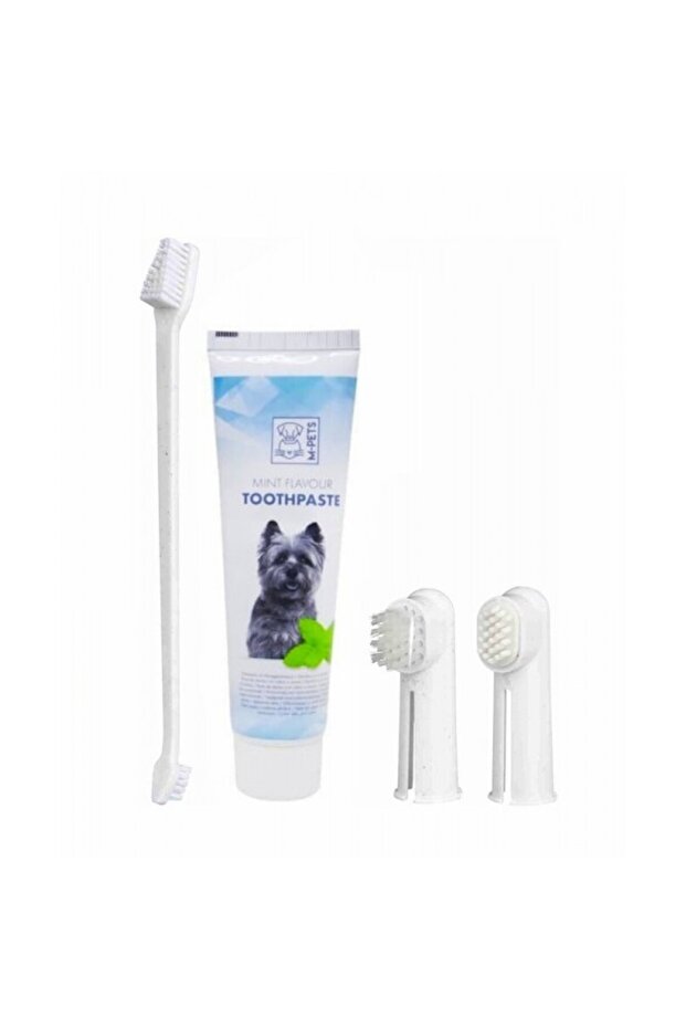 Dental Mint Flavor Toothpaste Kit (100 g) - 1