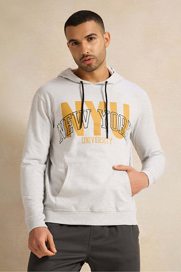 Men Grey Printed Hooded Sweatshirt