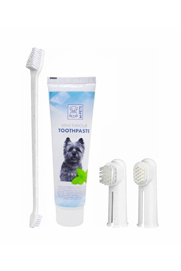 Dental Mint Flavor Toothpaste Kit (100 g) - 5