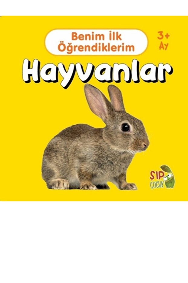 أول ما تعلمته هو الحيوانات