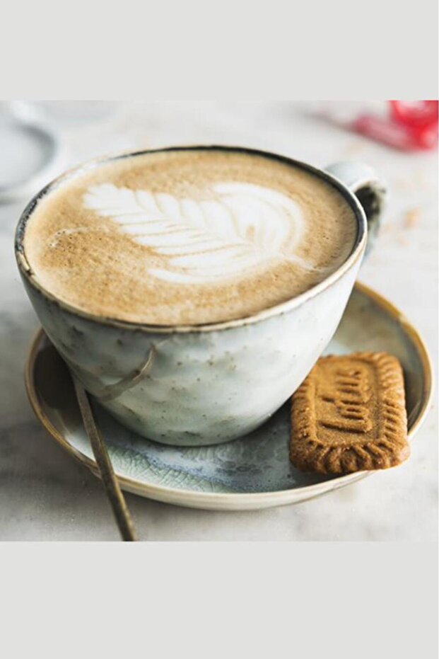 Biscoff Karamelize Bisküvi 125 GR - 5