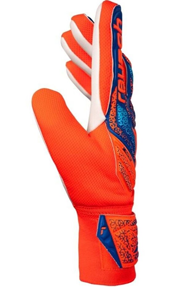 Attrakt Starter Solid Kaleci Eldiveni (Kemiksiz)-8 - 5