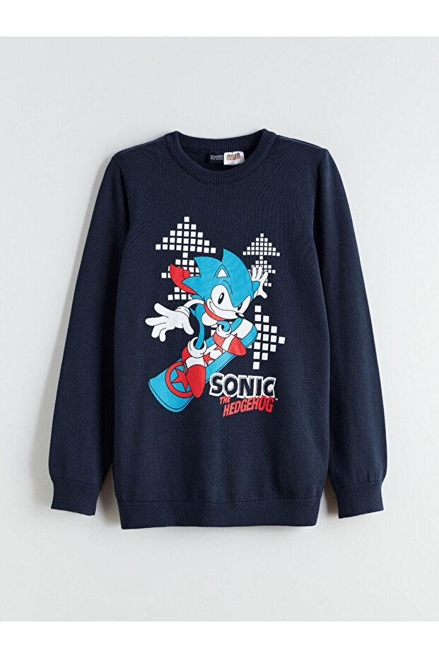 Esvab • Modern & Distinctive Blue Quick Hedgehog Boys' Knit Sweater