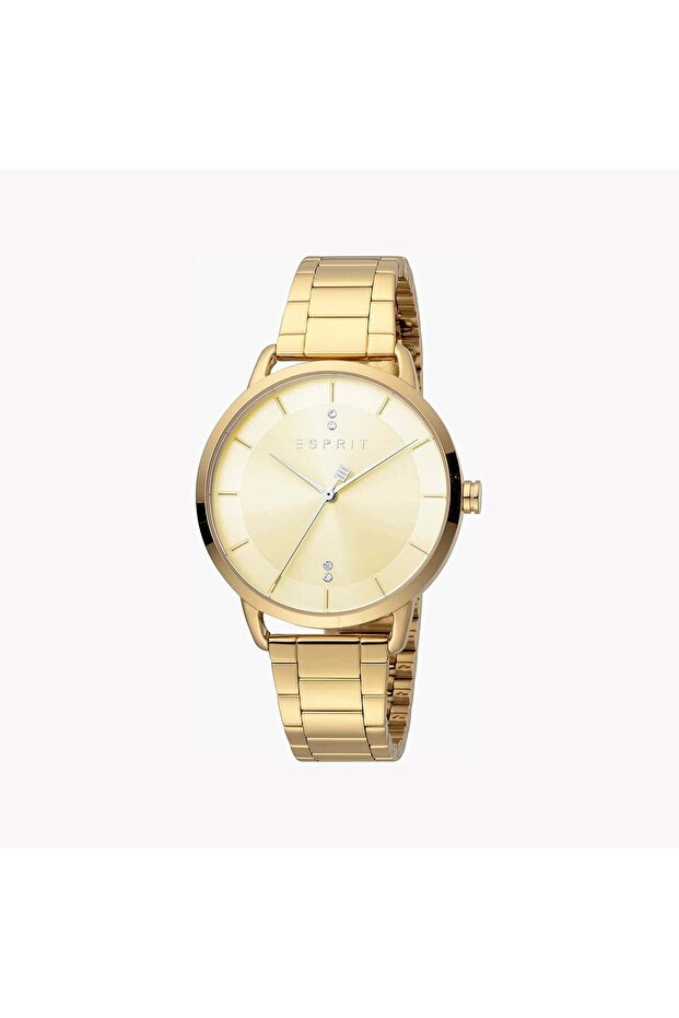 Women's Gold Stainless Steel Watch, Champagne Dial | Es1l083m0075