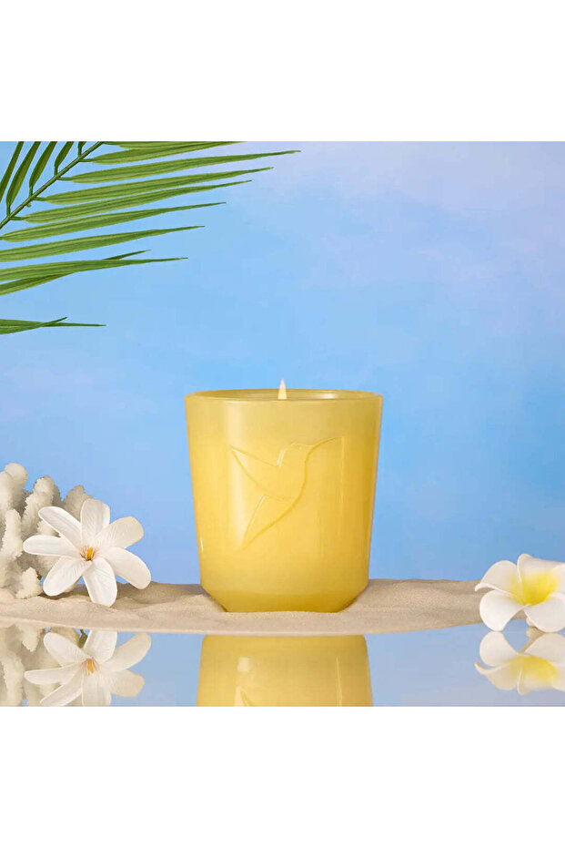 Monoï Sacré Candle 180g
