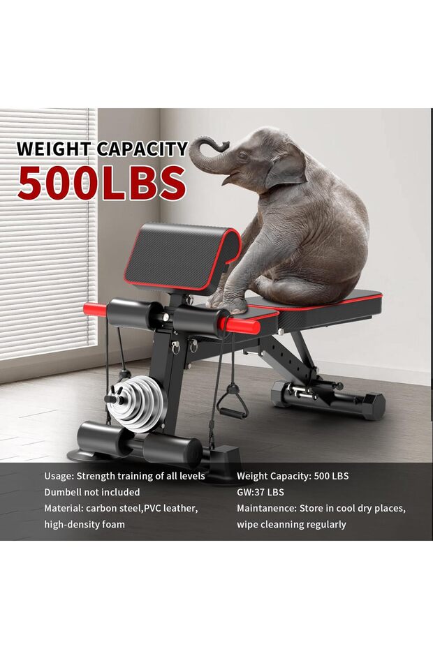 مقعد تمارين قابل لتعديل الوزن، مقعد تمارين متعدد الوظائف قابل للطي - 2