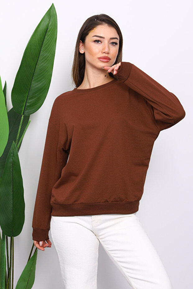 Brown Crew Neck Two Thread Sweatshirt