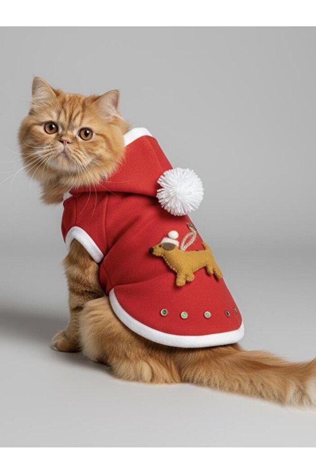 Buddy Kapşonlu Yılbaşı Kedi Sweatshirt Noel - 7
