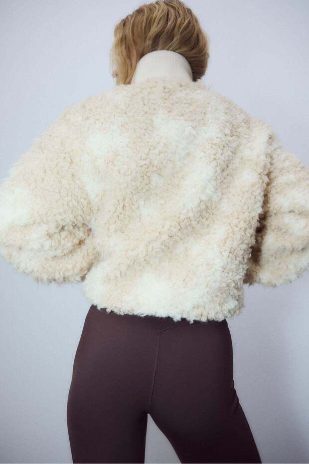 سترة تيدي - 4