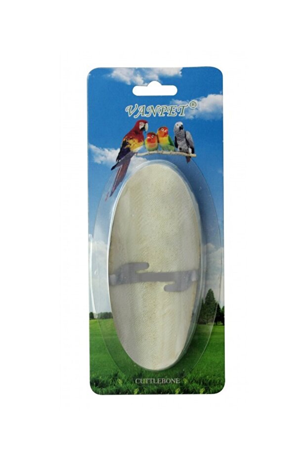 CUTTLEBONE (1 PCS) - 3